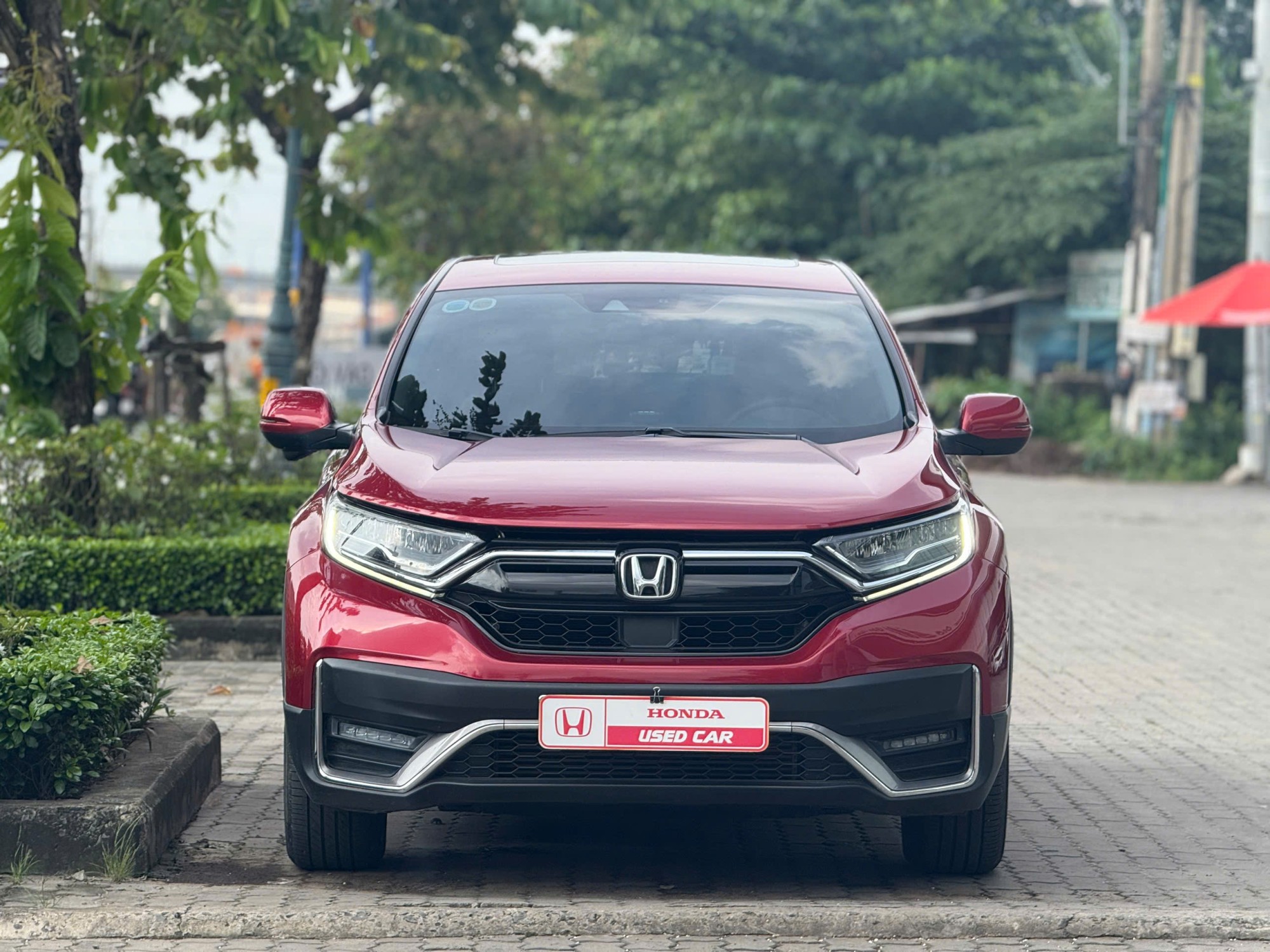 Honda CR-V L ĐỎ 2024